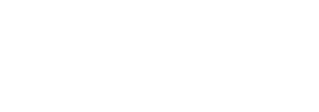 DIGISYTEM