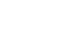 Executiva NOVO