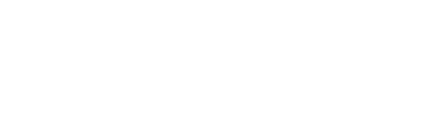14. Level