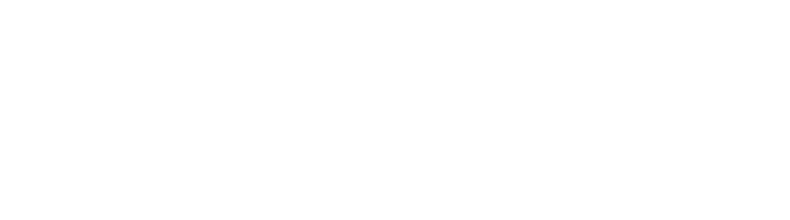 8a. roit