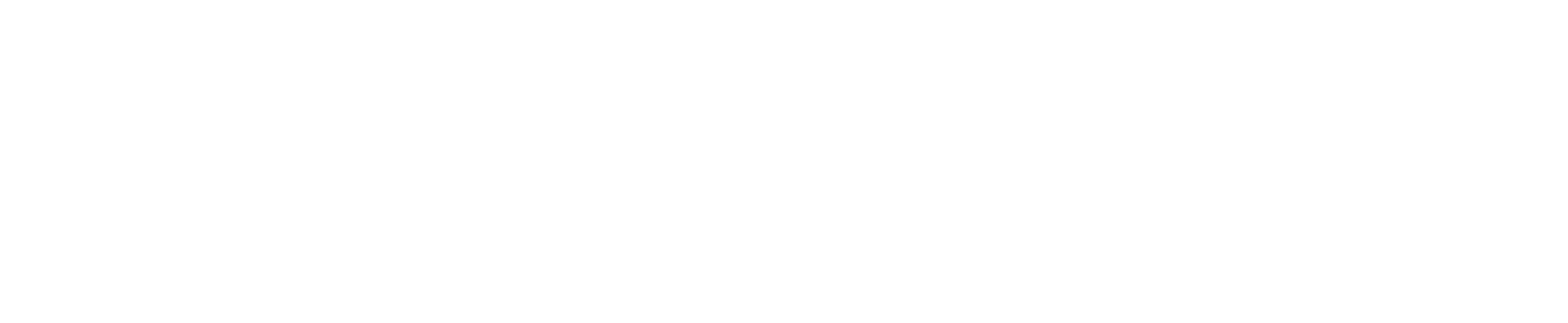 Paytrack NOVO