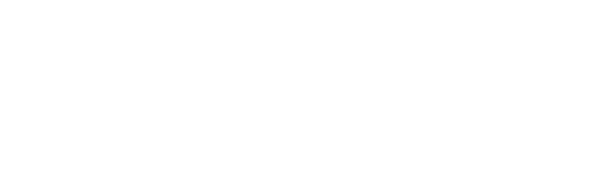 logo_Voll