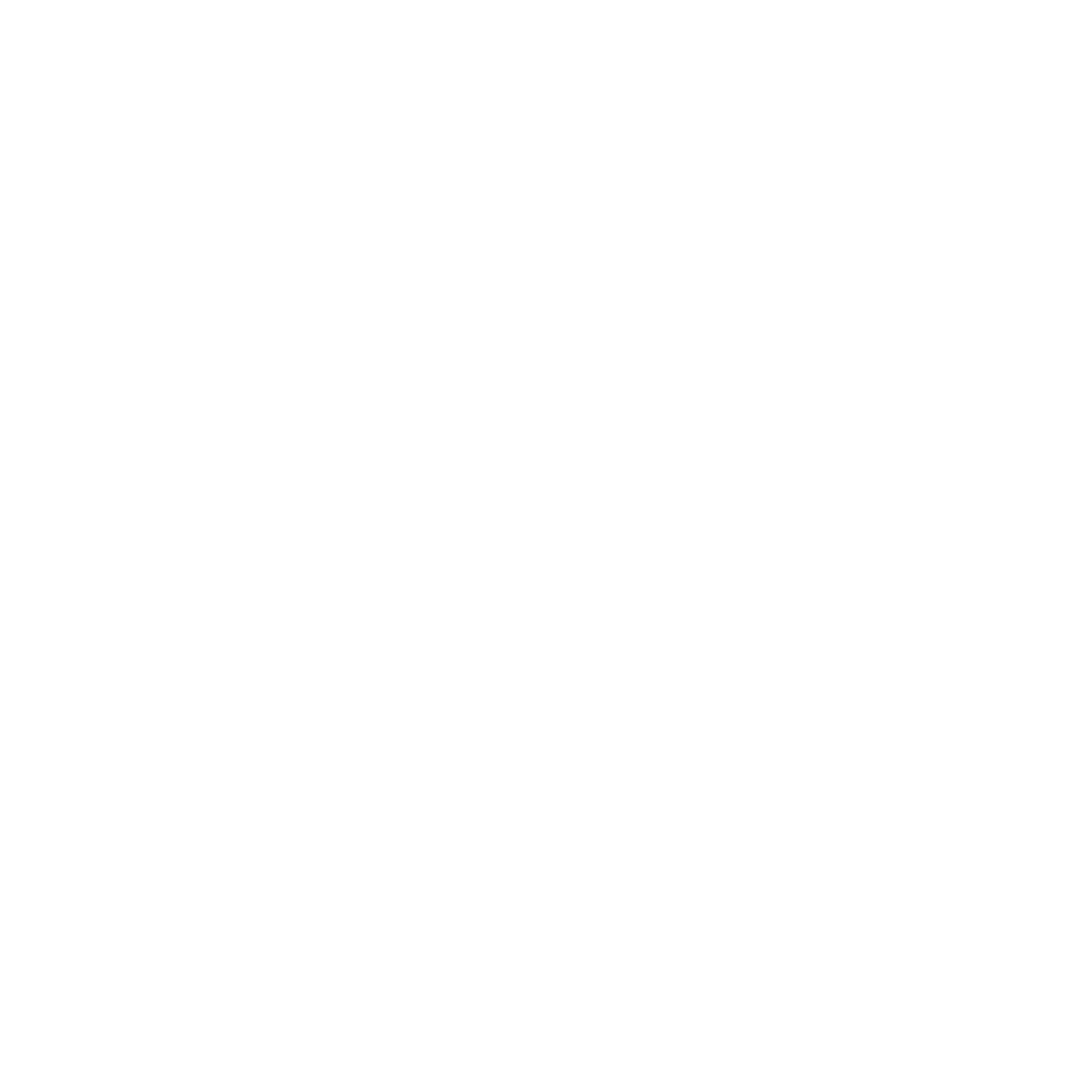 Paradigma Pulse